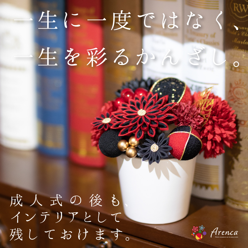 Arenca No.8356 百花八重菊