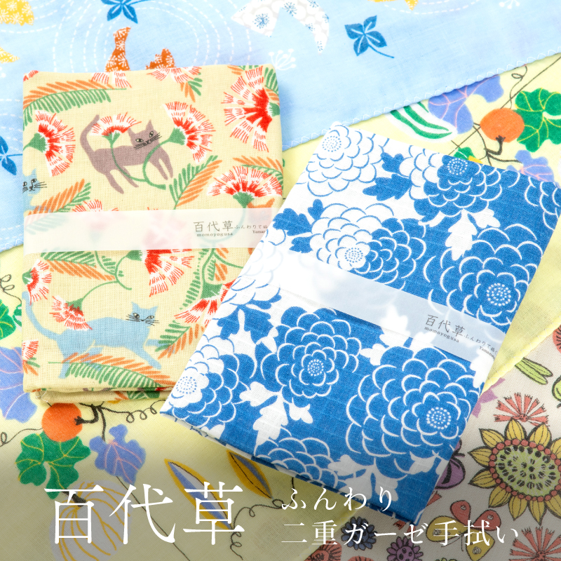 百代草 ふんわりてぬぐい
