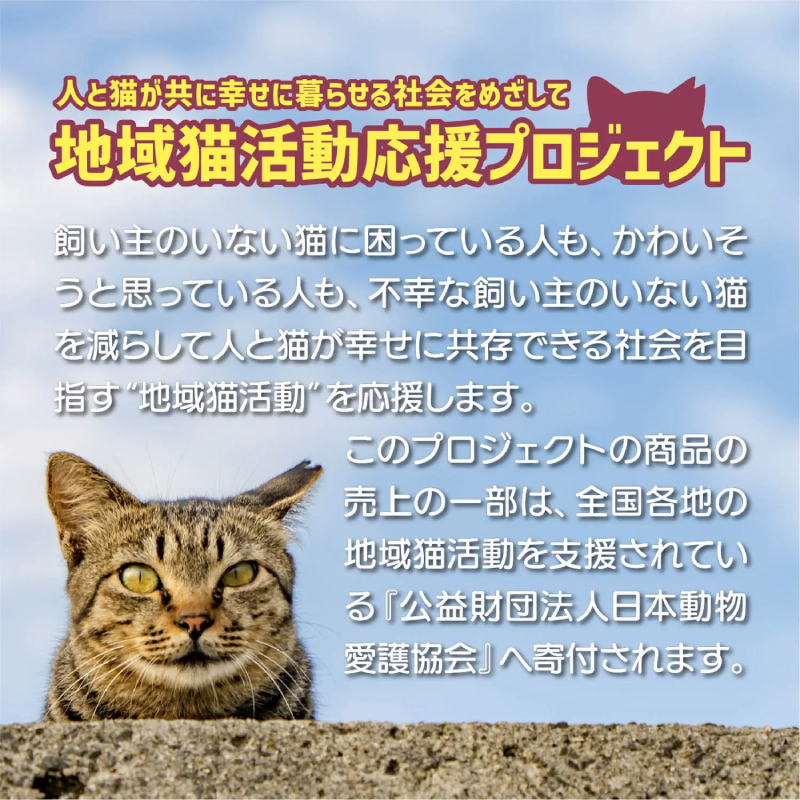 有職 DOTCH DOTCH 両面ふろしき [105]