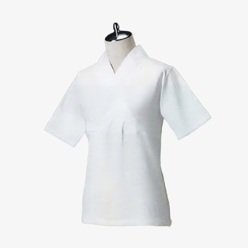 日本の歳時記 No.2858 Tシャツ半襦袢